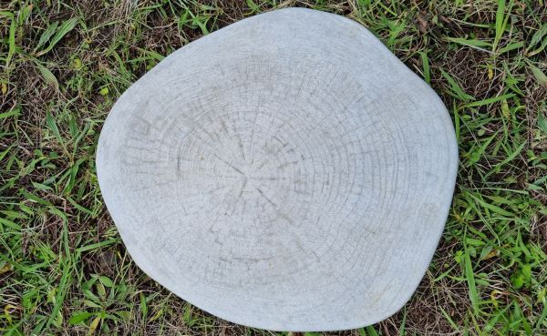 Tree stump paver